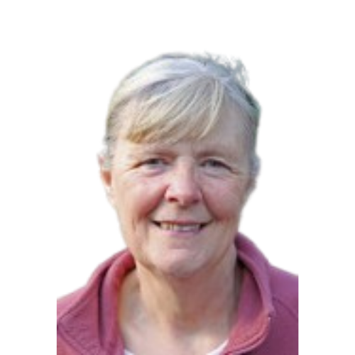 County Council candidate for Stonehouse - Carol Cambites