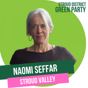 Naomi Seffar - Stroud Town candidate for Valley
