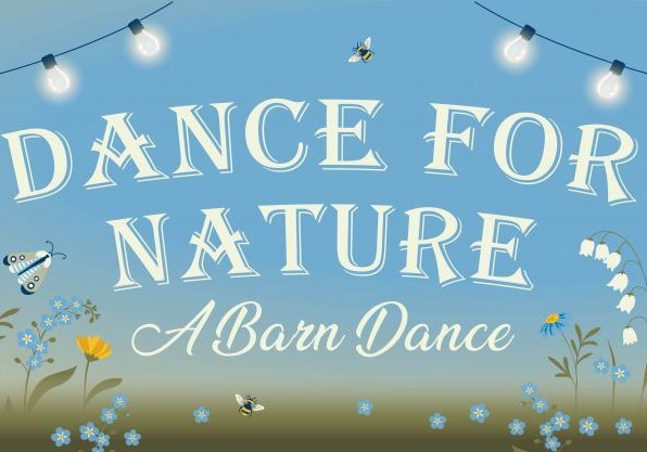 barn dance image